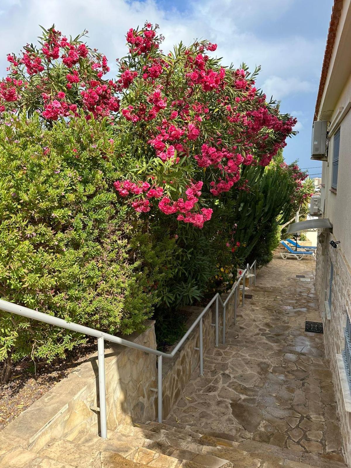 Apartamentos En La Villa Con El Territorio Comun En Calpe Zewnętrze zdjęcie